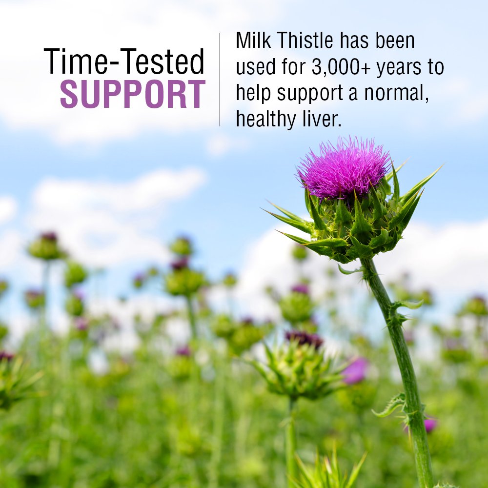 SOLARAY Milk Thistle Seed Extract 175mg – Antioxidant Liver Support, Non-GMO & Vegan