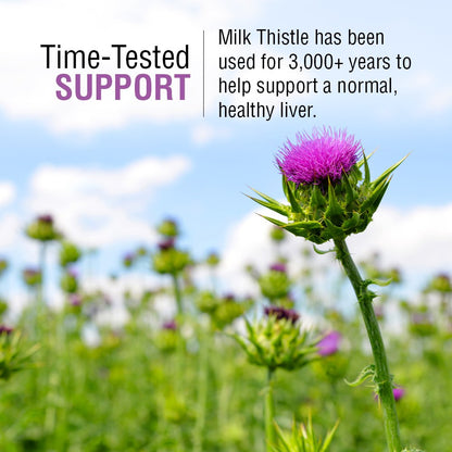 SOLARAY Milk Thistle Seed Extract 175mg – Antioxidant Liver Support, Non-GMO & Vegan