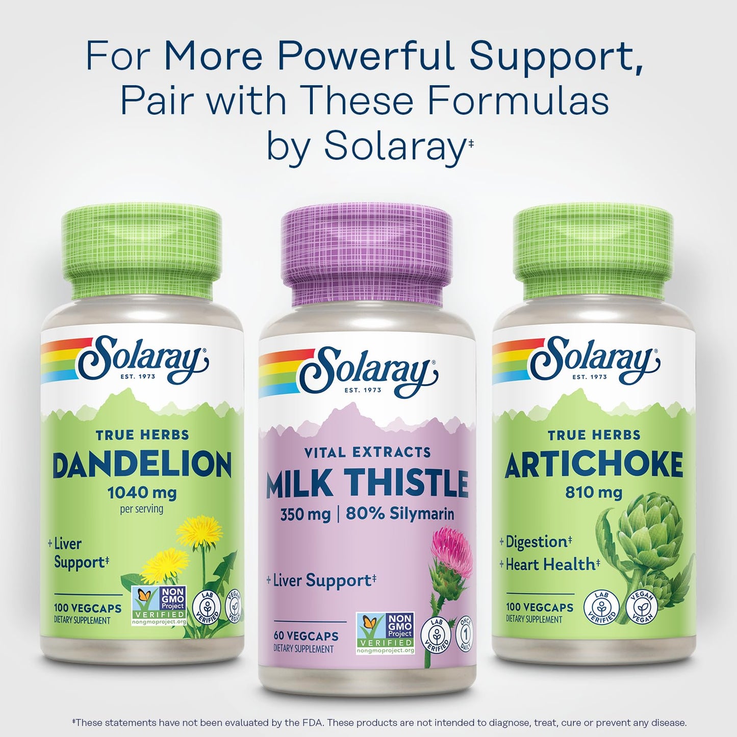 SOLARAY Milk Thistle Seed Extract 350 mg – 80% Silymarin | Vegan Liver Support, 60 VegCaps