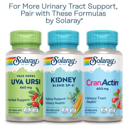 SOLARAY Nettle Leaf 450mg – Kidney, Urinary & Prostate Support | Respiratory Wellness (180 CT)