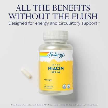 SOLARAY No-Flush Niacin 500mg – Flush-Free Vitamin B3 for Energy & Circulation | Vegan, Lab Verified, 60-Day Guarantee