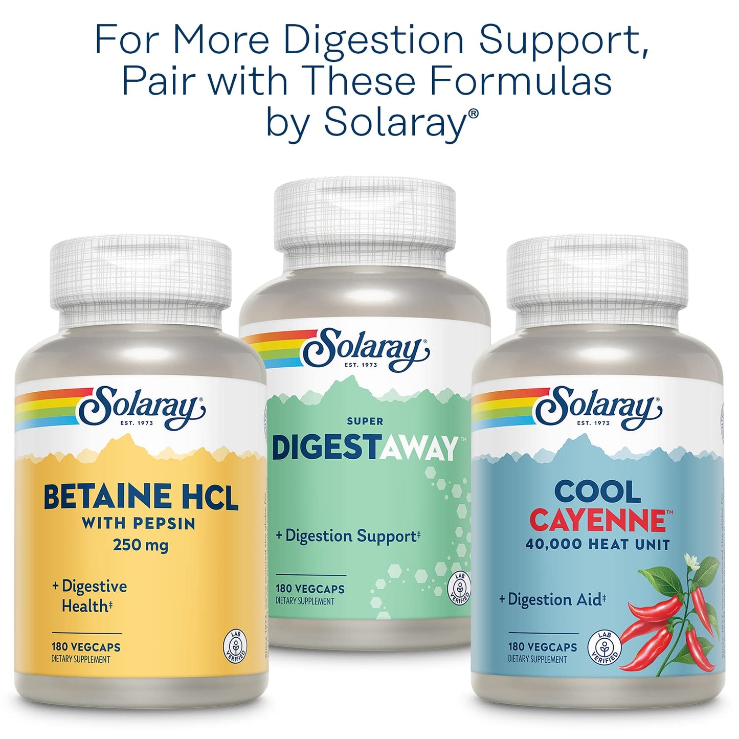 SOLARAY Organic Ginger 1080 mg - Motion Sickness Relief & Joint Health - Vegan