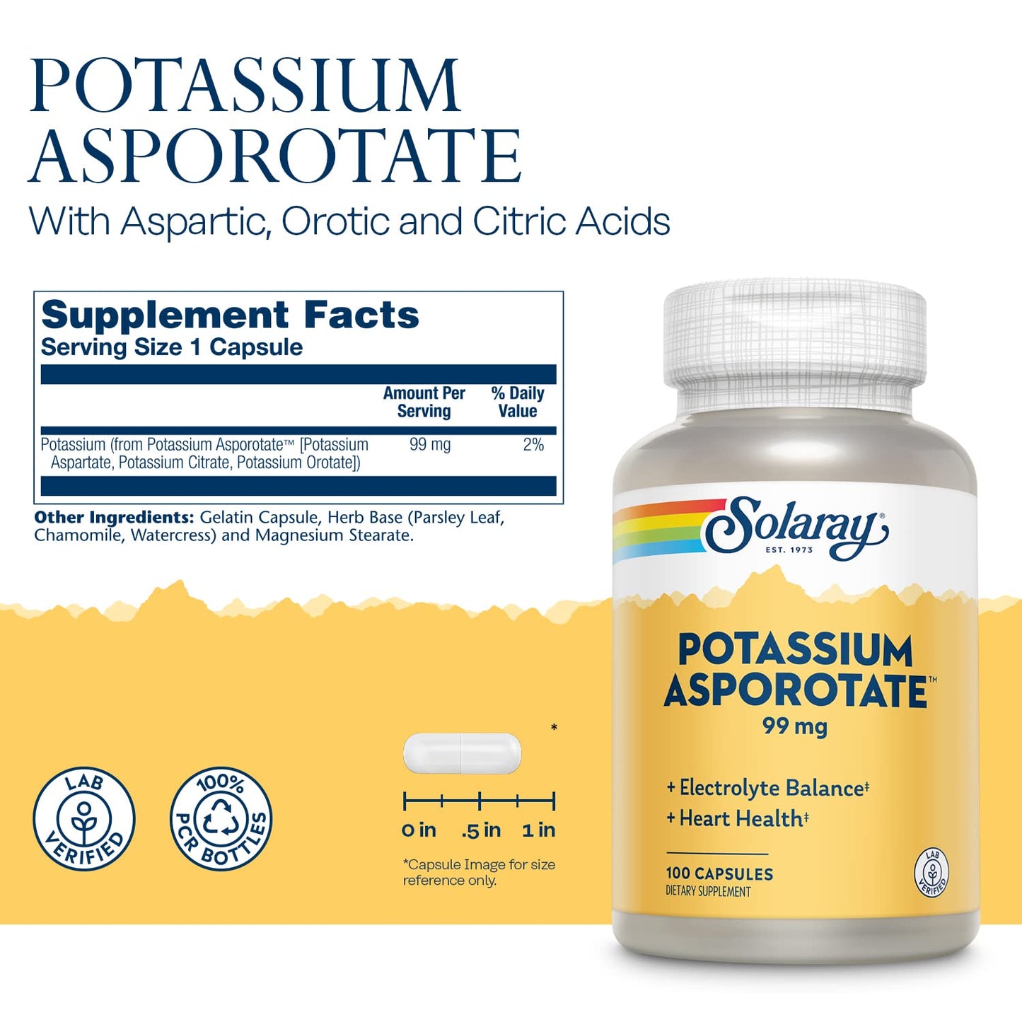 Solaray Potassium Asporotate Chelated Supplement – Electrolyte Balance & Heart Health