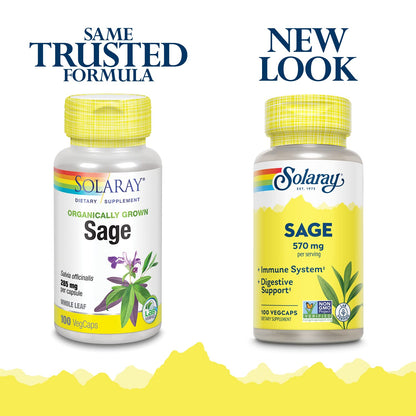 SOLARAY Sage Leaf 570mg – Body Odor & Immune Support | Nervous & Digestive | 100 VegCaps