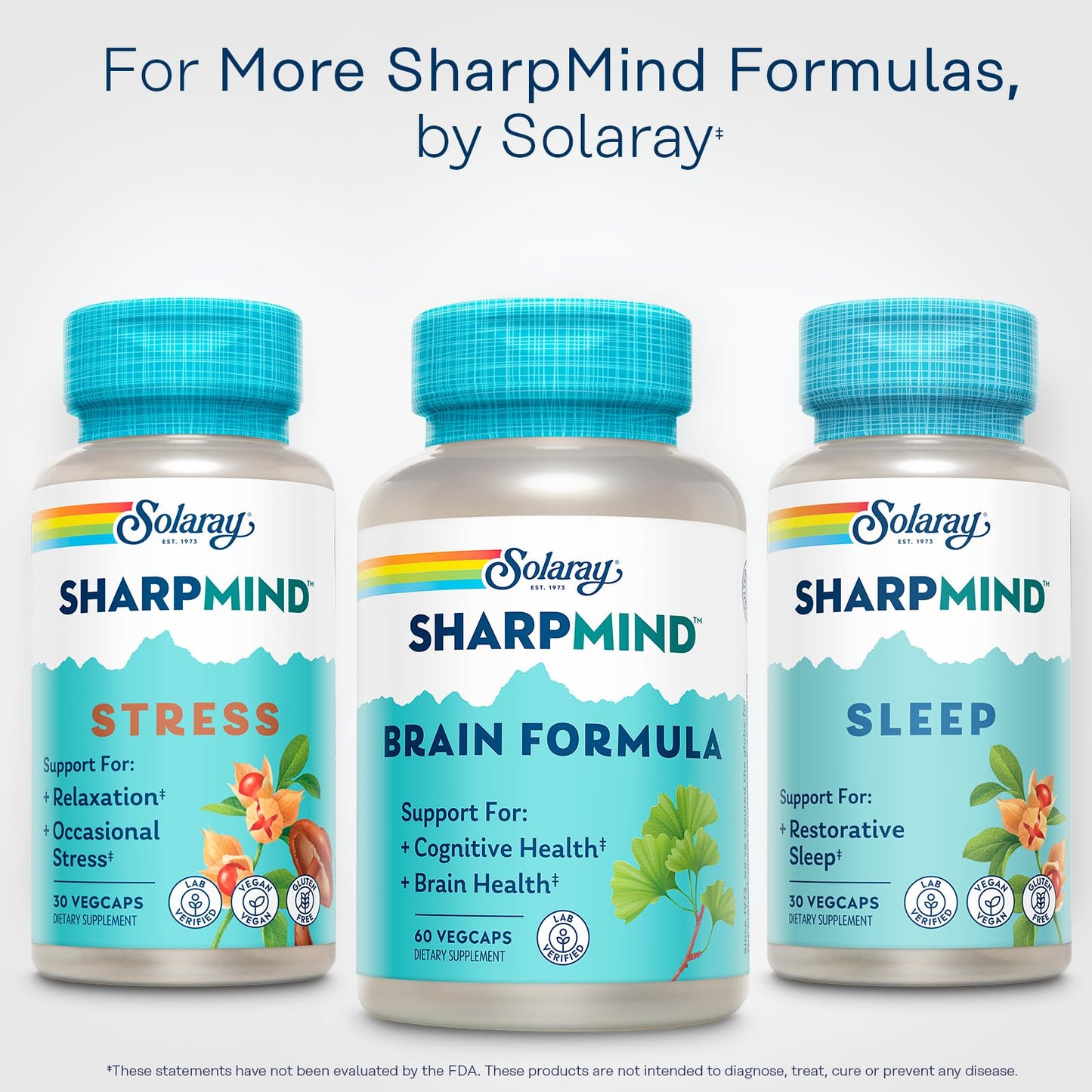 Solaray SharpMind Brain Formula – Nootropic Brain Support with Ginkgo Biloba (60 Servings)
