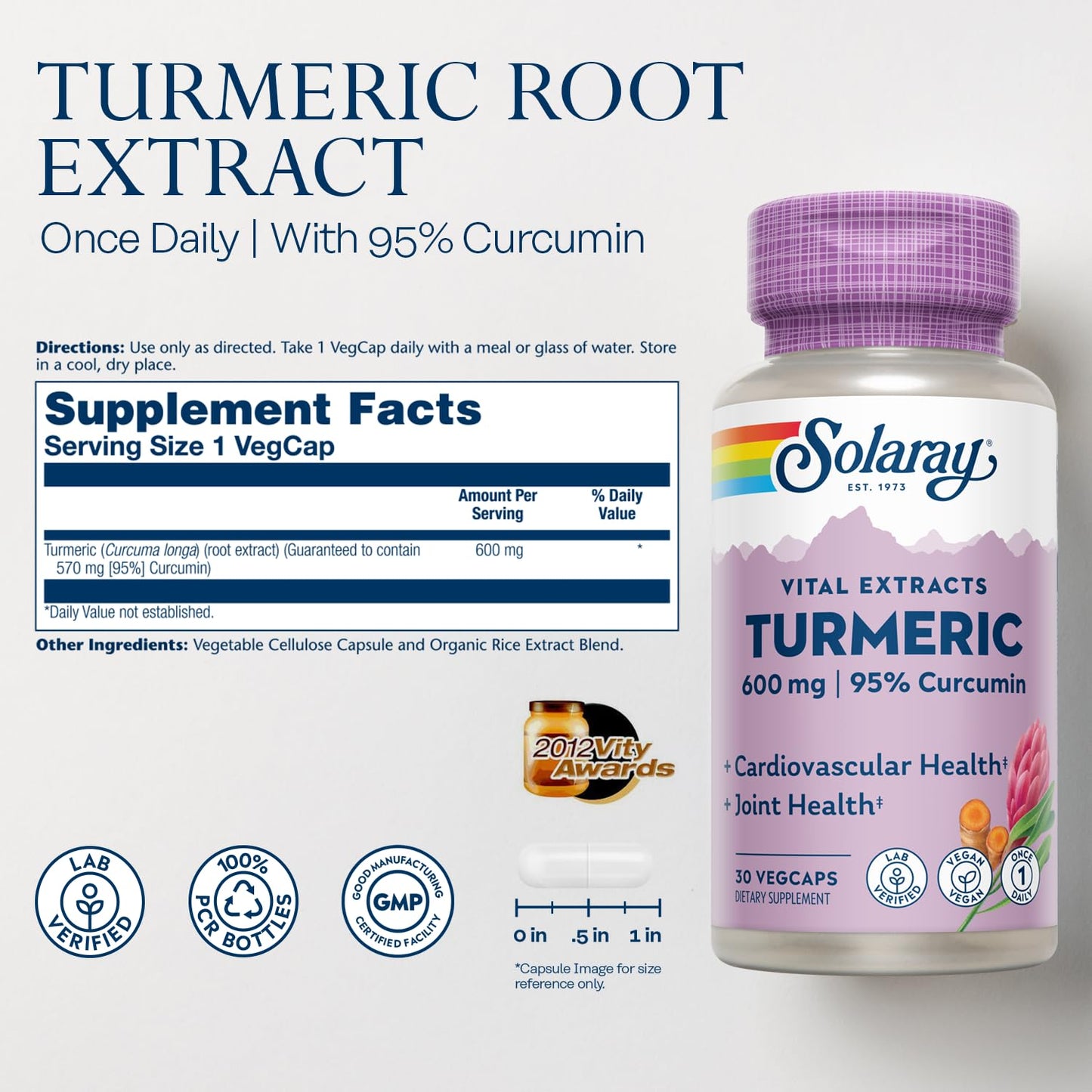SOLARAY Turmeric 600mg – 95% Curcuminoids | Joint, Gallbladder & Liver Support
