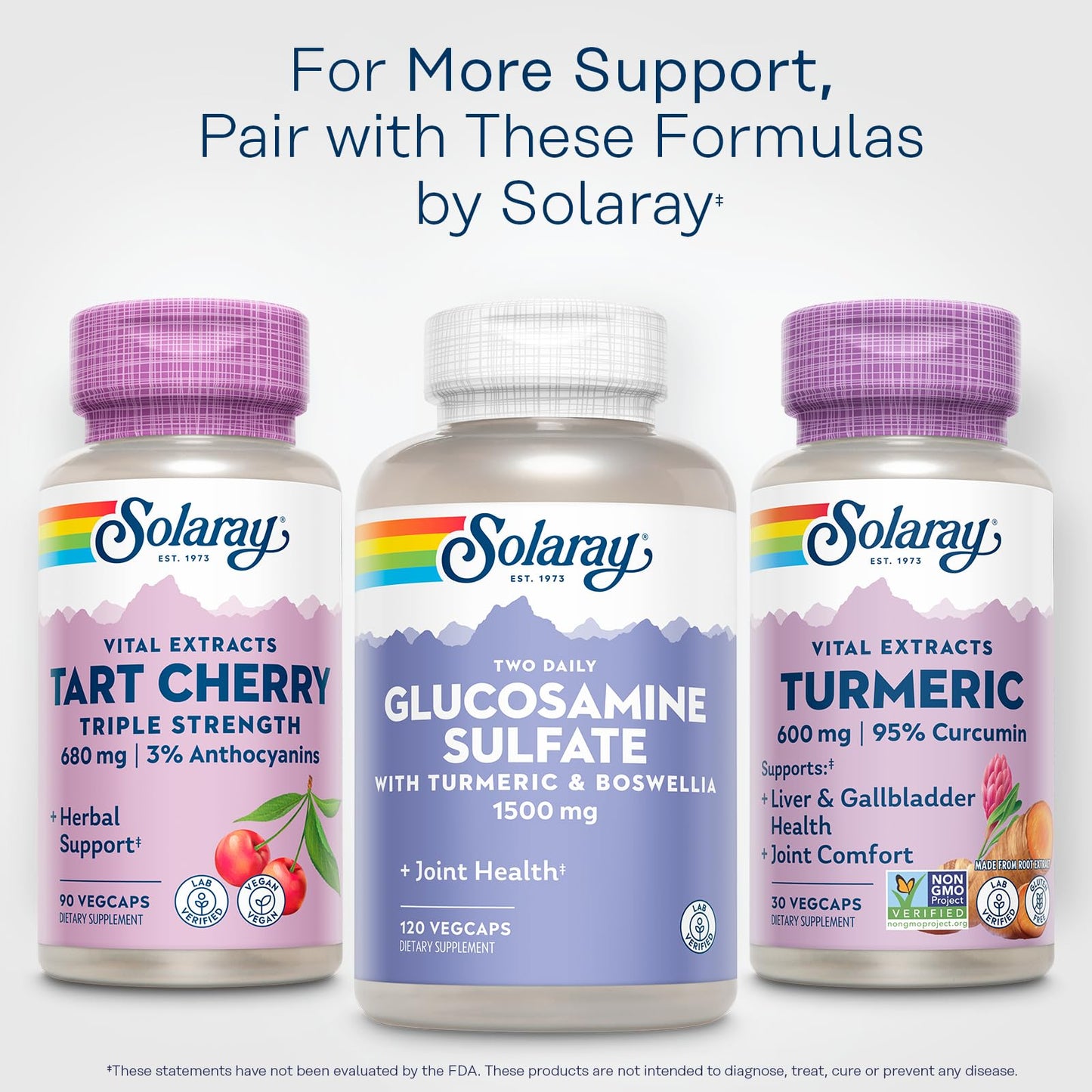 SOLARAY Turmeric 600mg – 95% Curcuminoids | Joint, Gallbladder & Liver Support