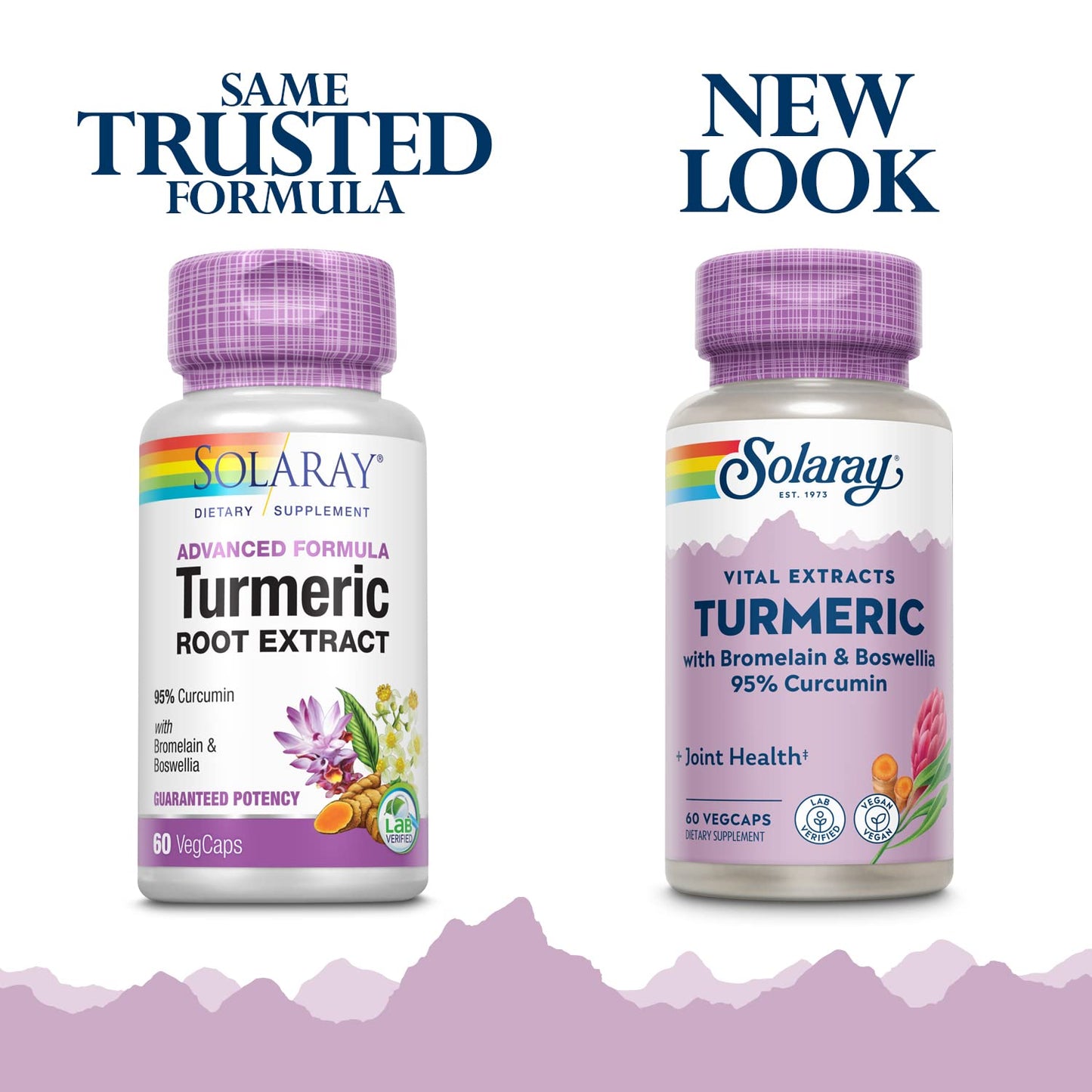 SOLARAY Turmeric Curcumin Supplement with Bromelain & Boswellia – 95% Curcumin, 60 Servings, Vegan