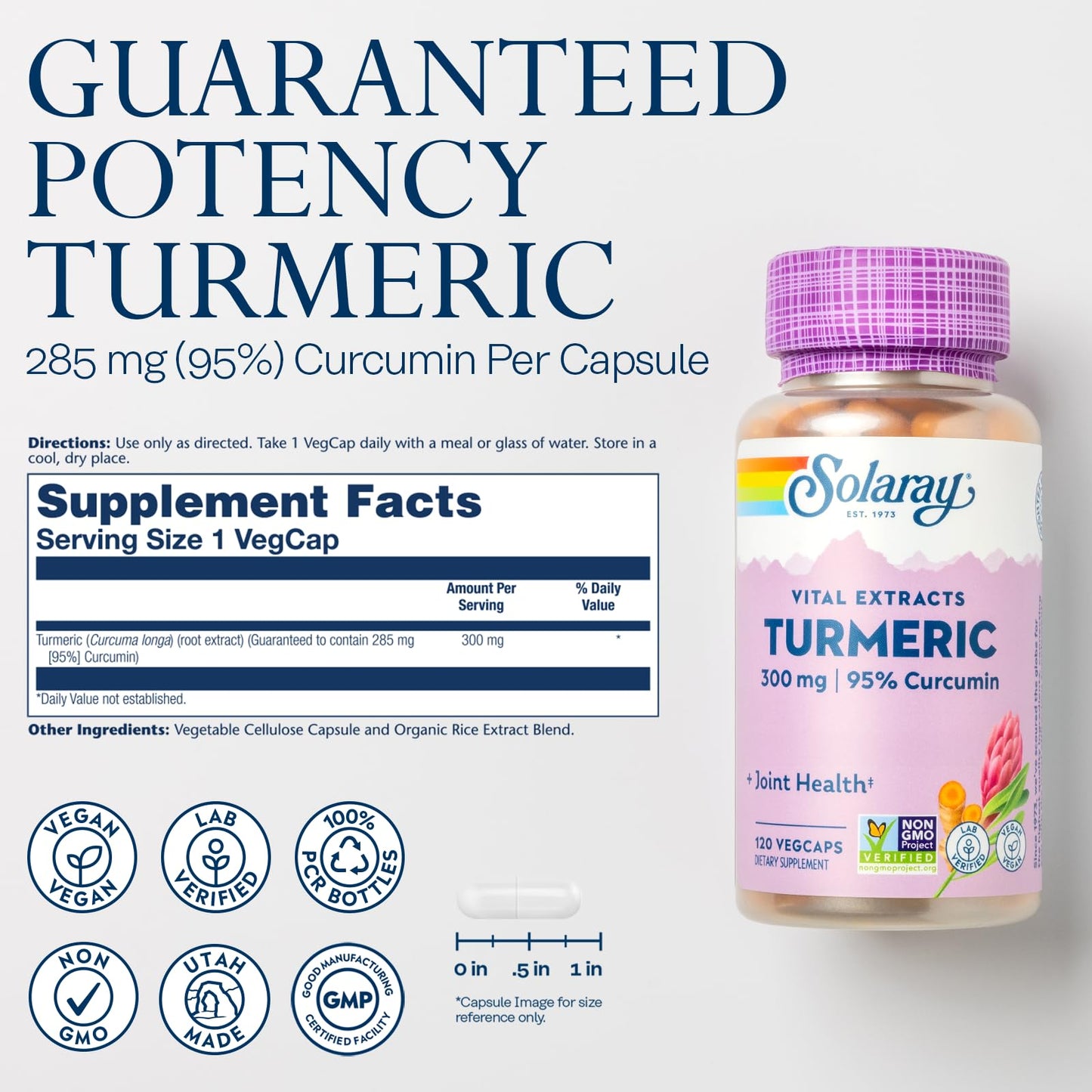 SOLARAY Turmeric 300 mg – Joint Support (95% Curcumin) – Vegan, Lab Verified, 120 CT