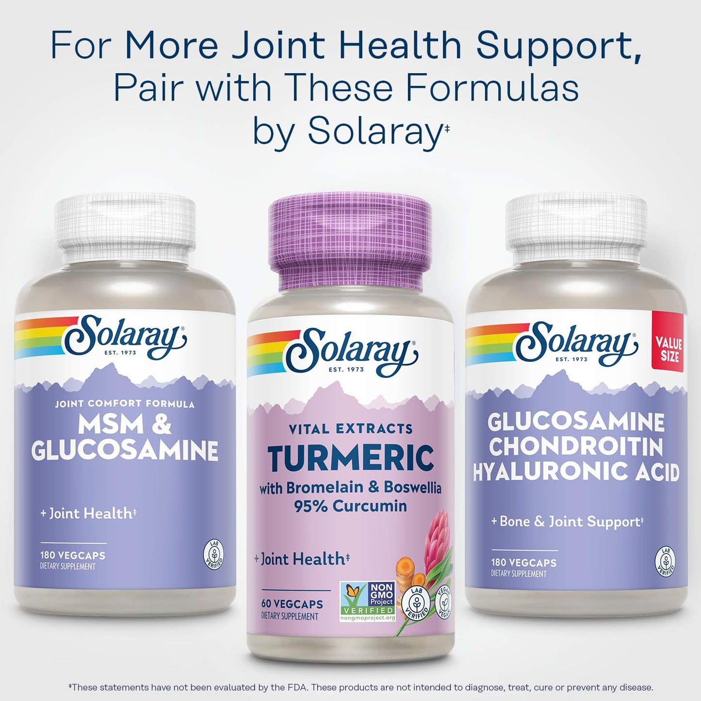 SOLARAY Turmeric Curcumin Supplement with Bromelain & Boswellia – 95% Curcumin, 60 Servings, Vegan