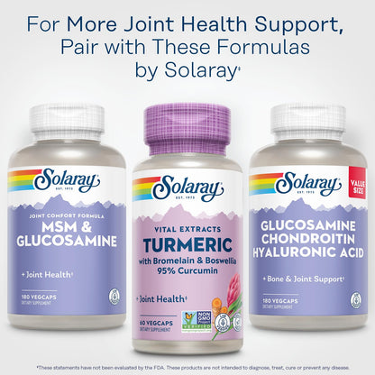 SOLARAY Turmeric Curcumin Supplement with Bromelain & Boswellia – 95% Curcumin, 60 Servings, Vegan