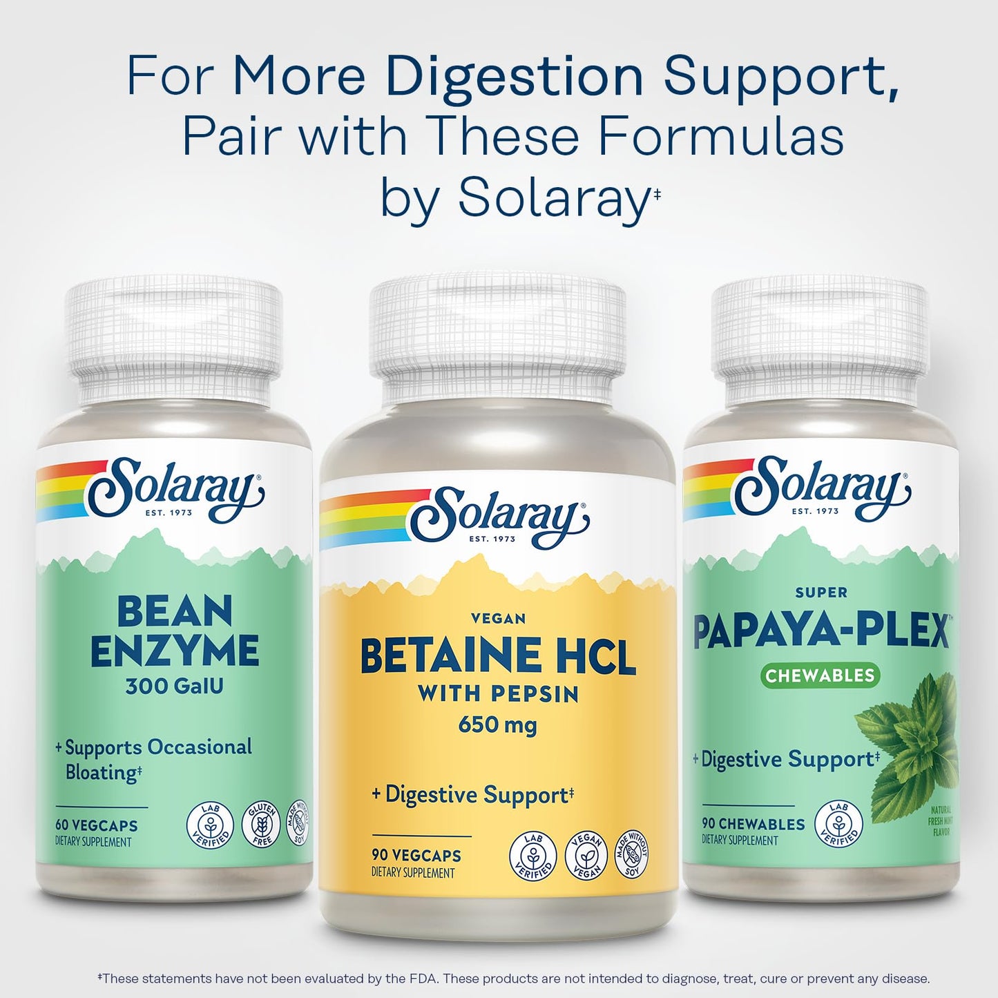 SOLARAY Vegan Betaine HCL with Pepsin - Digestive Health Supplement, 90 VegCaps | 60-Day Guarantee