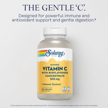SOLARAY Buffered Vitamin C 500mg with Rose Hips & Acerola Cherry - Immune Support, Vegan, Lab Verified