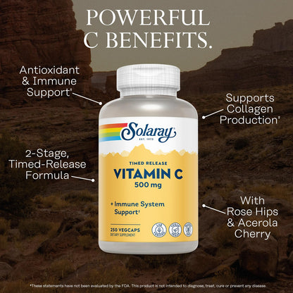 SOLARAY Vitamin C 500mg | Two-Stage Timed Release Immune Support - Vegan & Gluten Free