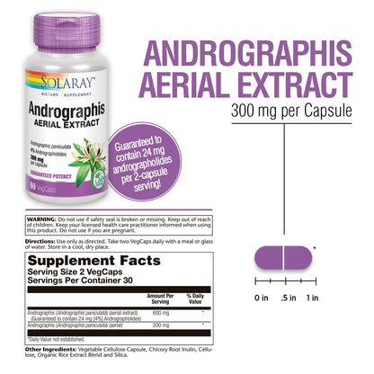 SOLARAY Andrographis Aerial Extract 600 mg - Immune & Respiratory Support | 60 VegCaps