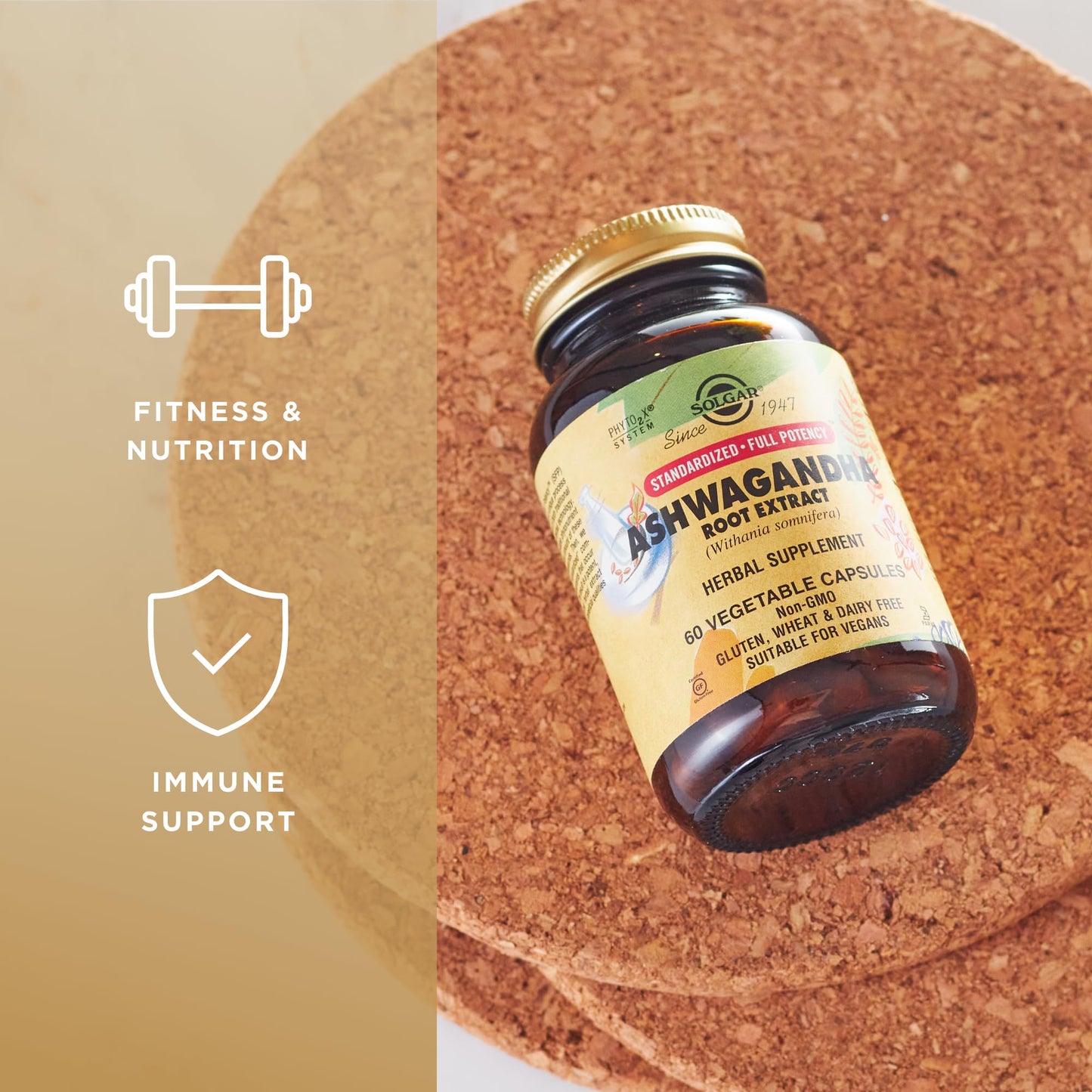Solgar Ashwagandha Root Extract – 60 Veg Capsules | Standardized Full Potency (SFP) | Non-GMO, Vegan, Gluten & Dairy Free