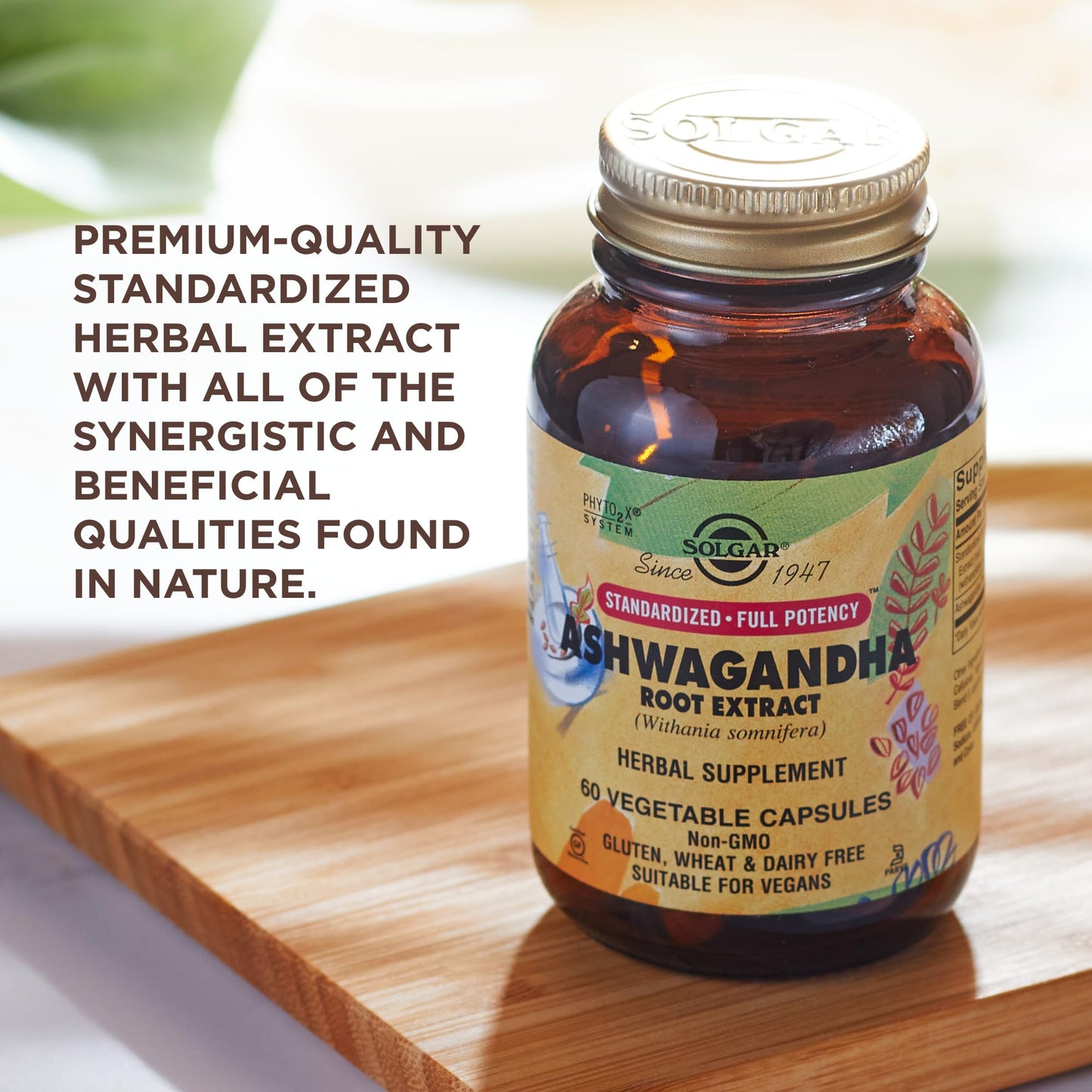 Solgar Ashwagandha Root Extract – 60 Veg Capsules | Standardized Full Potency (SFP) | Non-GMO, Vegan, Gluten & Dairy Free