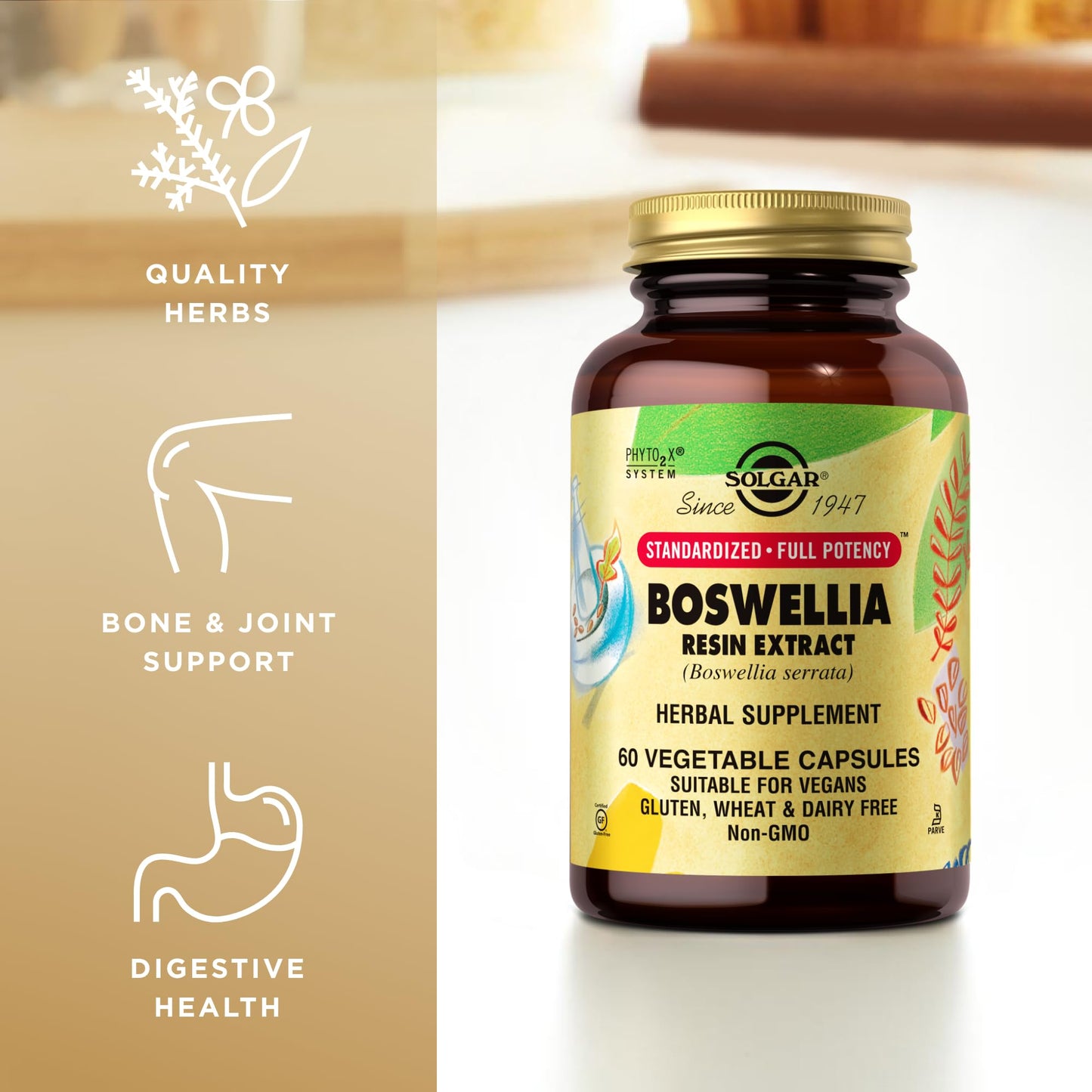 Solgar Boswellia Resin Extract - 60 Vegetable Capsules | Standardized Full Potency (SFP) | Non-GMO, Vegan, Gluten Free, Dairy Free, Kosher | 60 Servings