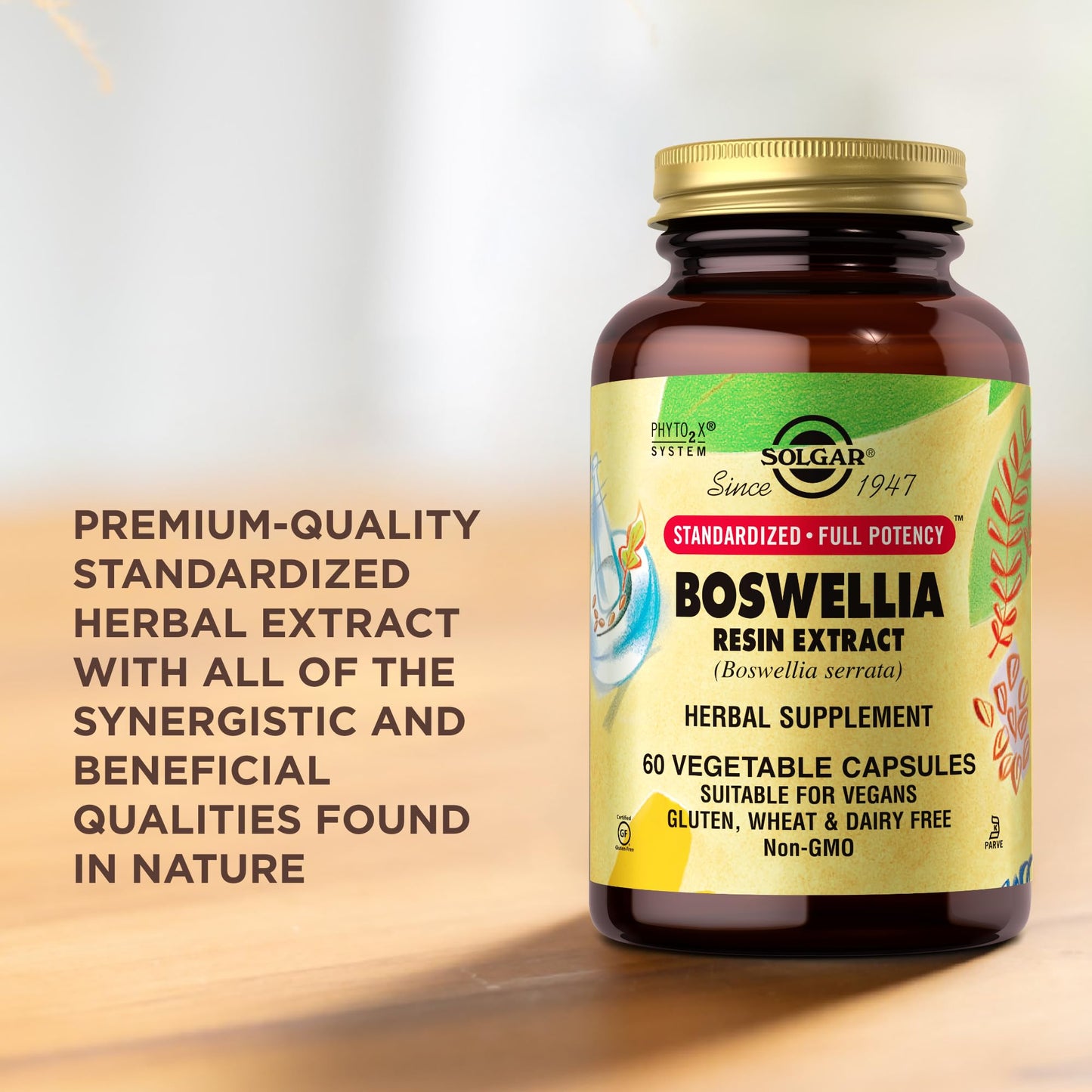 Solgar Boswellia Resin Extract - 60 Vegetable Capsules | Standardized Full Potency (SFP) | Non-GMO, Vegan, Gluten Free, Dairy Free, Kosher | 60 Servings