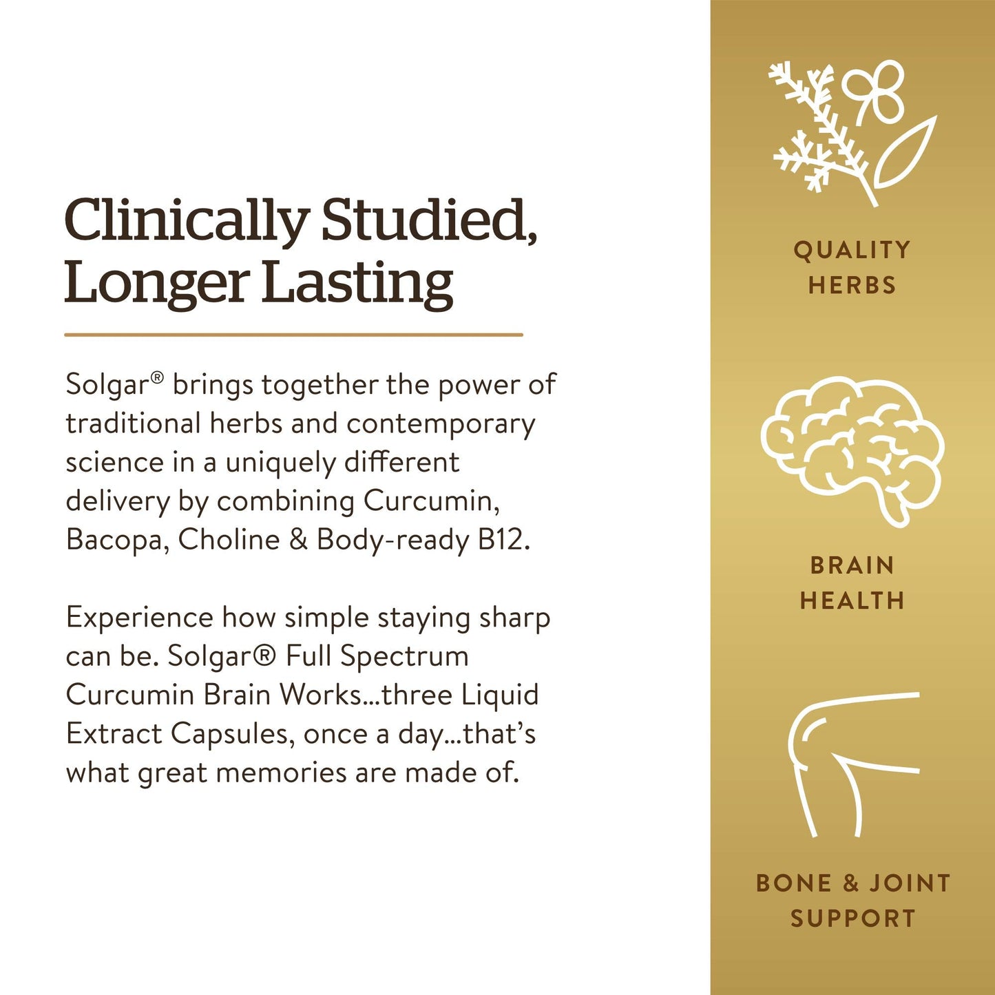 Solgar Full Spectrum Curcumin Brain Works - 90 Licaps | Memory, Focus & Cognitive Support