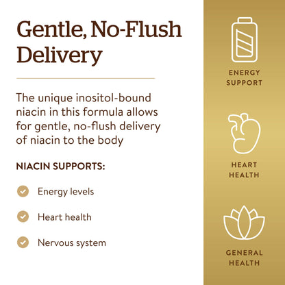 Solgar No-Flush Niacin 500 mg – 250 Veg Caps | Energy Metabolism