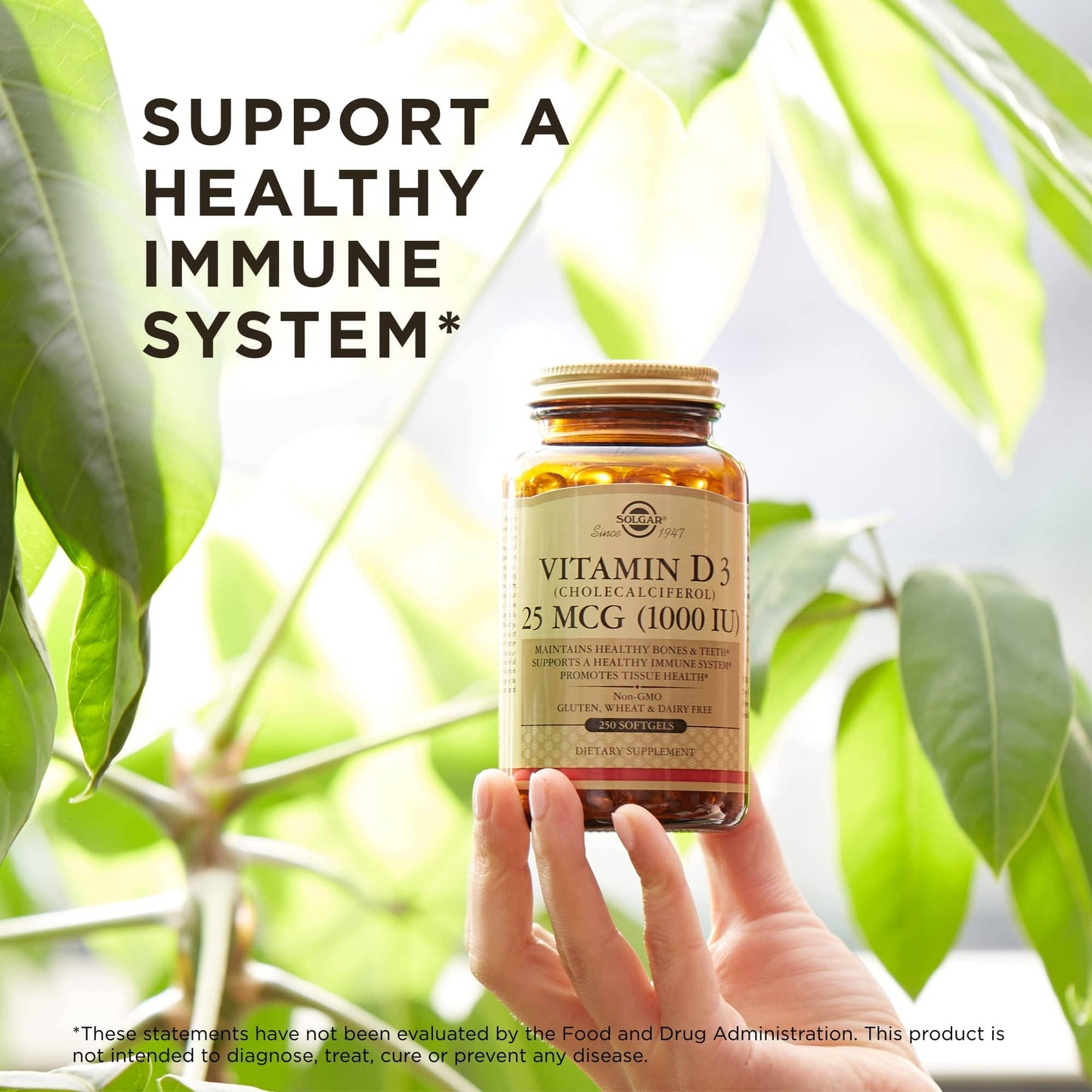 Solgar Vitamin D3 1000 IU Softgels – 250 Servings | Non-GMO, Gluten Free