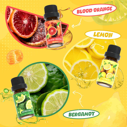 Soulorigin Citrus Essential Oils Set – Blood Orange, Lemon, Bergamot, Lime, Grapefruit & Citrus