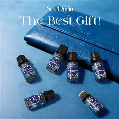 Soulorigin Cologne Fragrance Oils Set – Leather & Musk, Revive Blue, Sunlit Wander, Gentleman's Blend, Night Code, Cologne