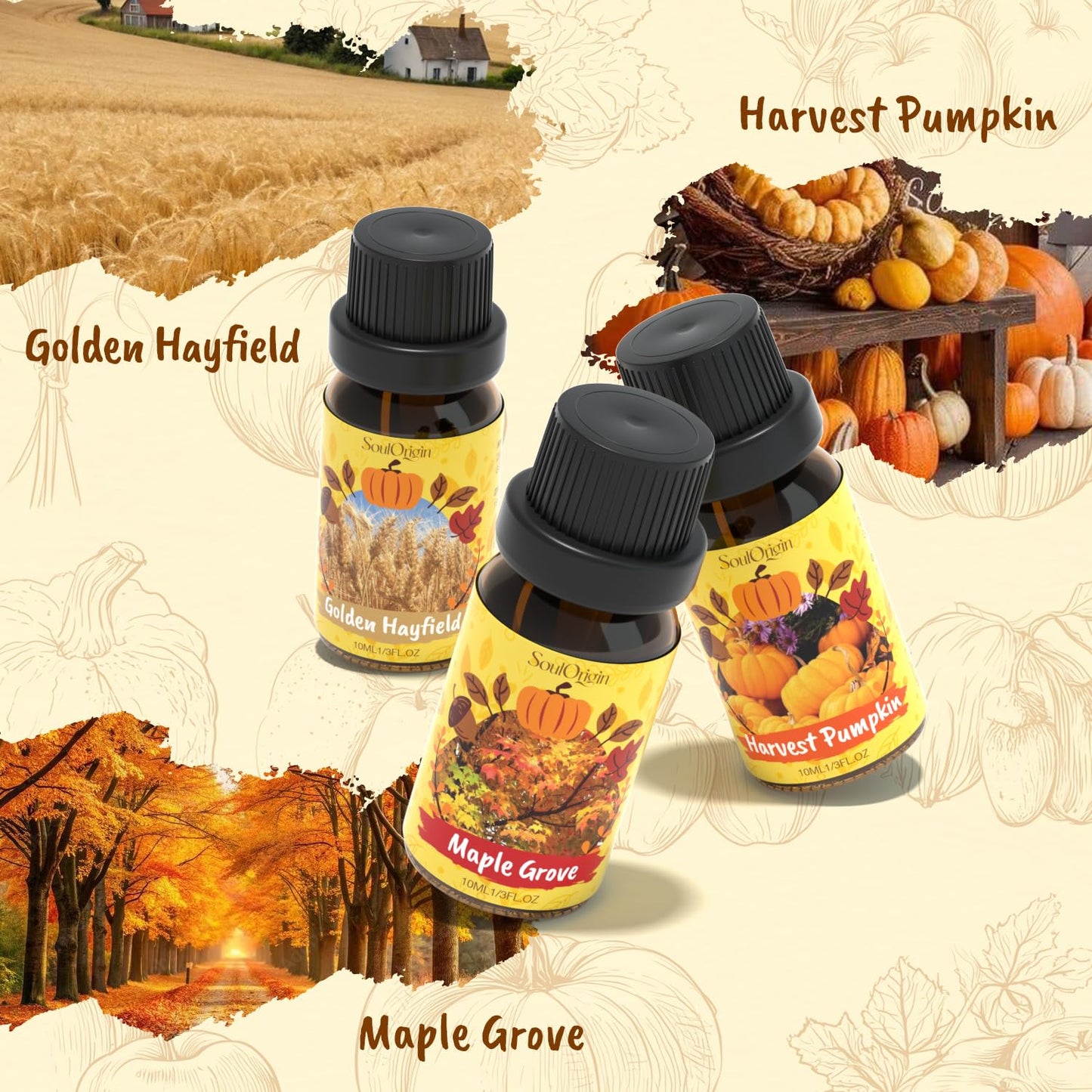 Soulorigin Harvest Fragrance Oils Set - Fall Diffuser Oils for Soap & Candles