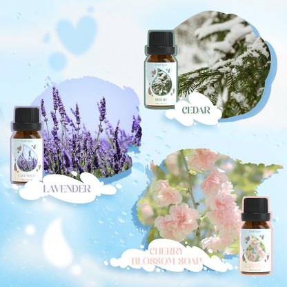 Soulorigin Laundry Fragrance Oils Set – Essential Oils for Diffuser & Fresh Laundry Scent
