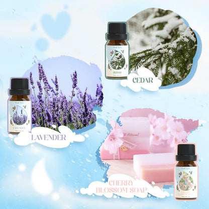 Soulorigin Laundry Fragrance Oils Set – Essential Oil Gift for Diffusers & Dryer Balls (Chamomile, Fresh Cotton, Sage, Cedar, Lavender, Cherry Soap)