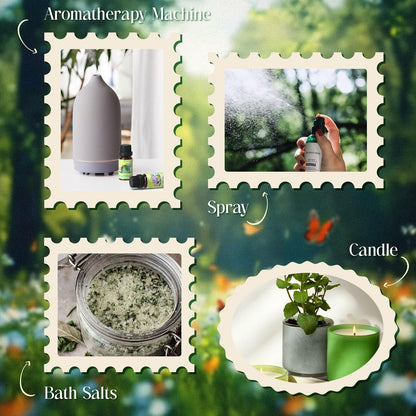 Soulorigin Spring Fragrance Oils Set – Essential Oil Gift for Diffuser