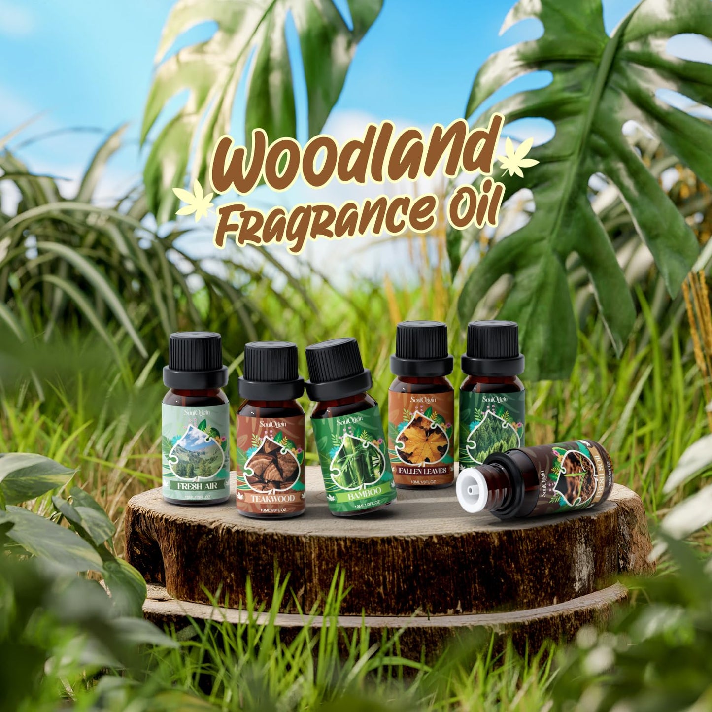 Soulorigin Woodland Fragrance Oils Set – Essential Oil Gift for Diffusers (Forest Pine, Teak, Bamboo, Fresh Soil, Fallen Leaves, Fresh Air)