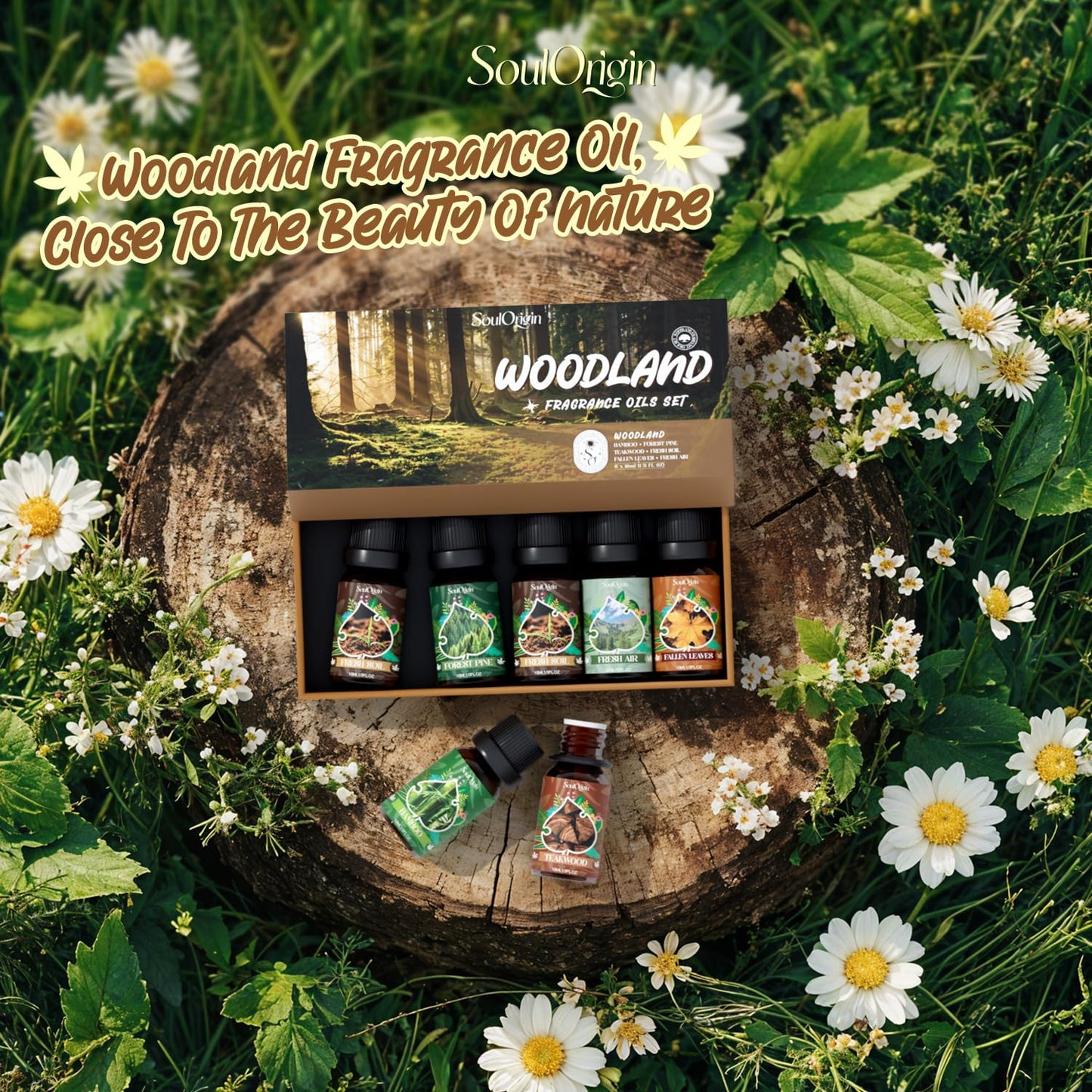 Soulorigin Woodland Fragrance Oils Set – Essential Oil Gift for Diffusers (Forest Pine, Teak, Bamboo, Fresh Soil, Fallen Leaves, Fresh Air)