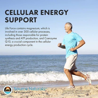 Source Naturals Vegan True Vegan Force Multiple, Advanced Energy Formula for Vegans* - 180 Tablets