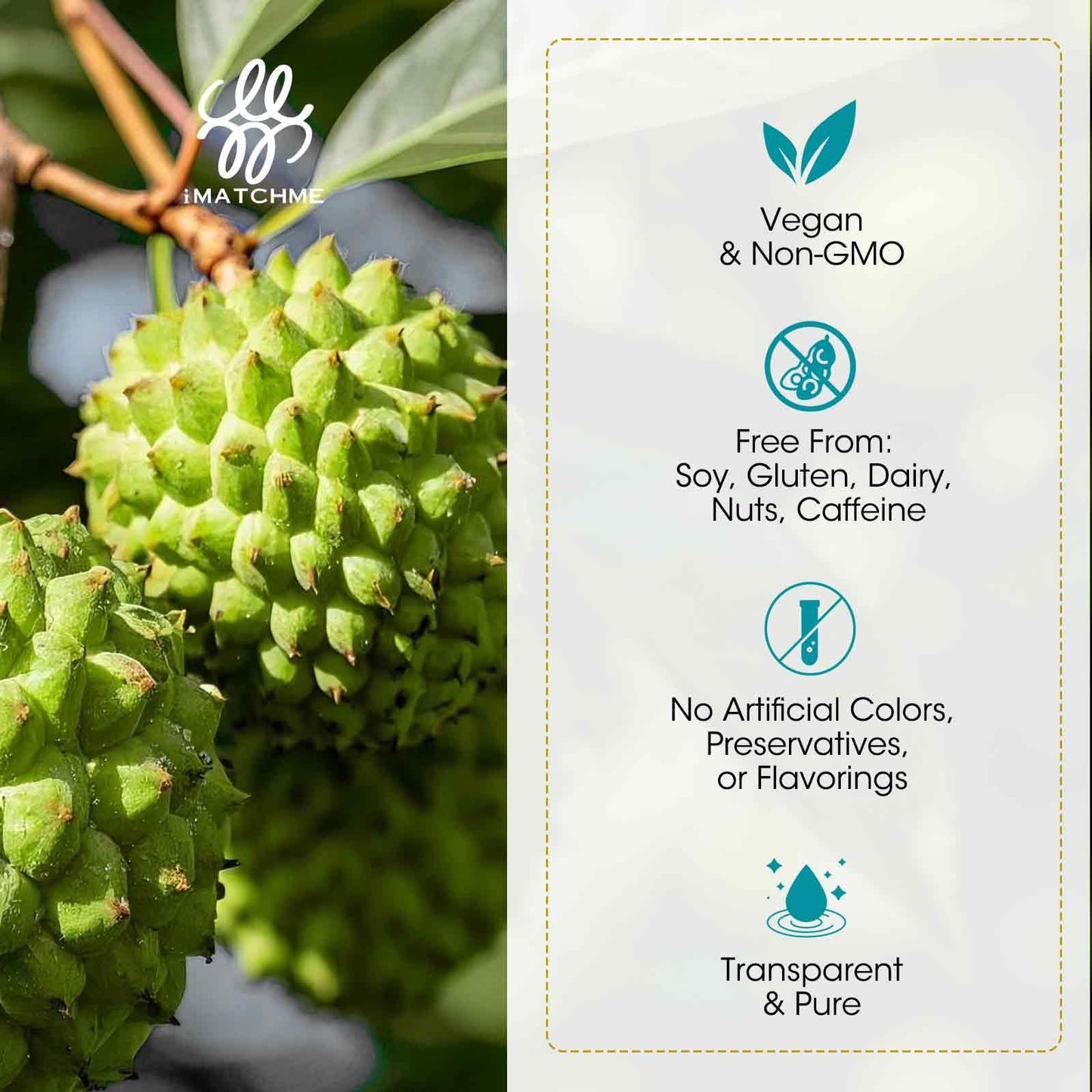 Soursop Graviola Liquid with Elderberry & Lion's Mane – Immune Support