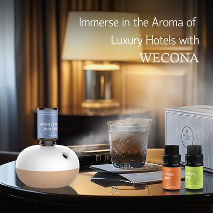 Premium Hotel Diffuser Oils Set – 6x10ml (White Tea, Velvet Night)