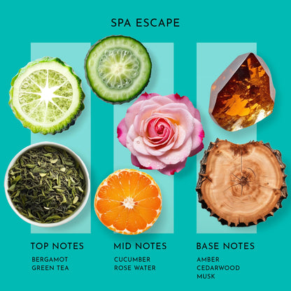 Spa Escape Aroma Essential Oil Blend: Green Tea, Mandarin & Cucumber for Ultrasonic Diffusers (3.3 Fl Oz / 100 mL)