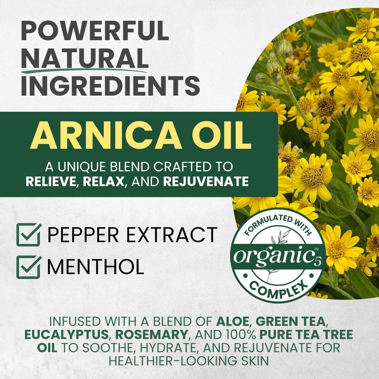 Sore Muscle Massage Oil – Arnica, Eucalyptus & Tea Tree (2-Pack)