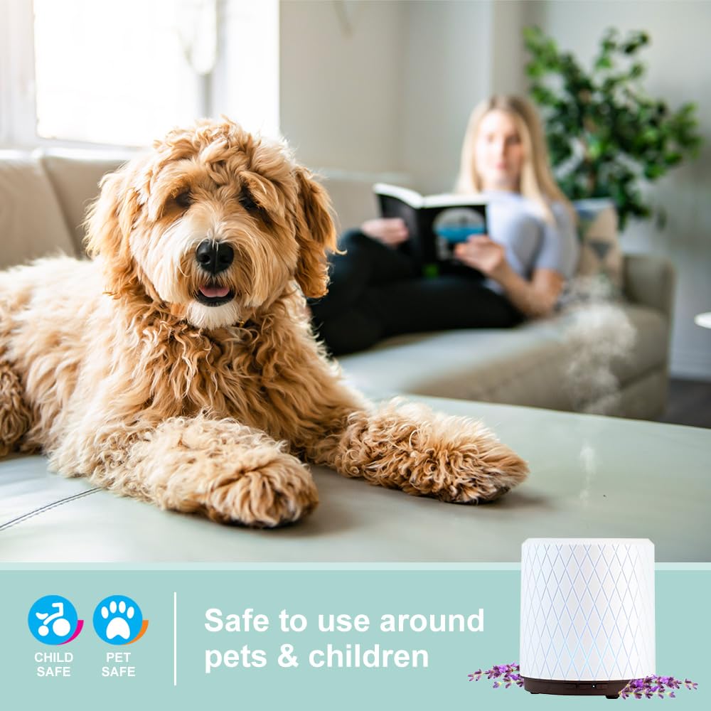 SpaRoom Athena Bluetooth Aromatherapy Ultrasonic Diffuser for Large Rooms