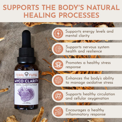 Feral Fungi Myco-Clarity Tincture - 100% Pure Mushroom Extract | USA-Grown 1 oz