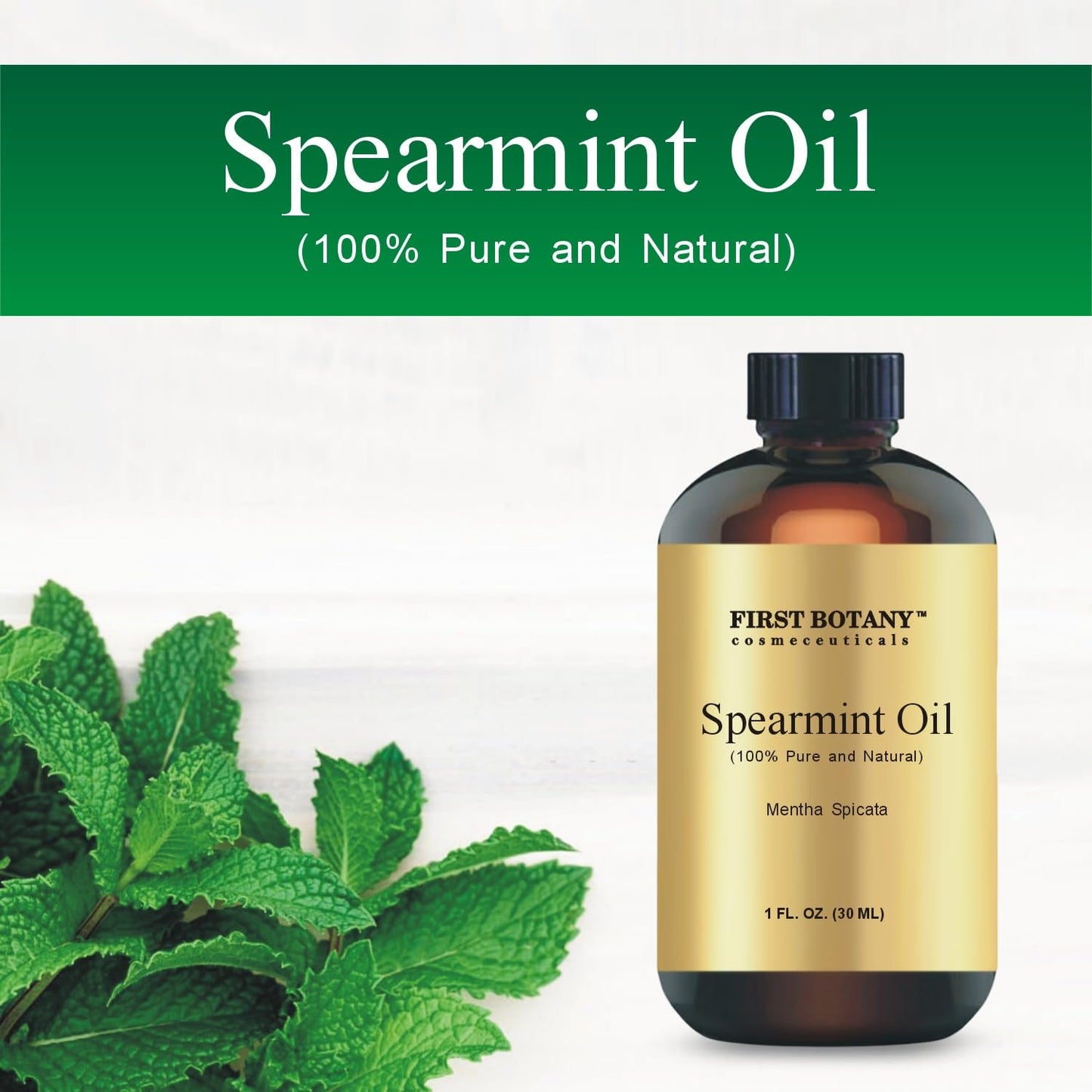 Spearmint Essential Oil 100% Pure – Aromatherapy, Massage & Topical, 1 oz