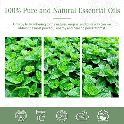 Spearmint Essential Oil 100ml | PHATOIL Pure Aromatherapy for Diffuser, DIY Crafts