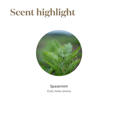 Spearmint Essential Oil 5ml by Young Living | Aromatic Comfort, Digestive and Wellness Support