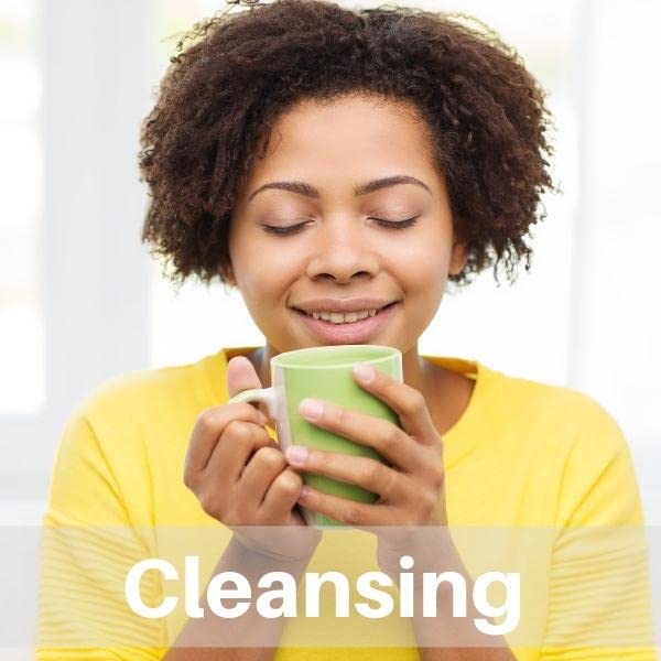 SpeedyVite® Blood Lifeboost Tea – Cleanses & Supports Natural Waste Removal*