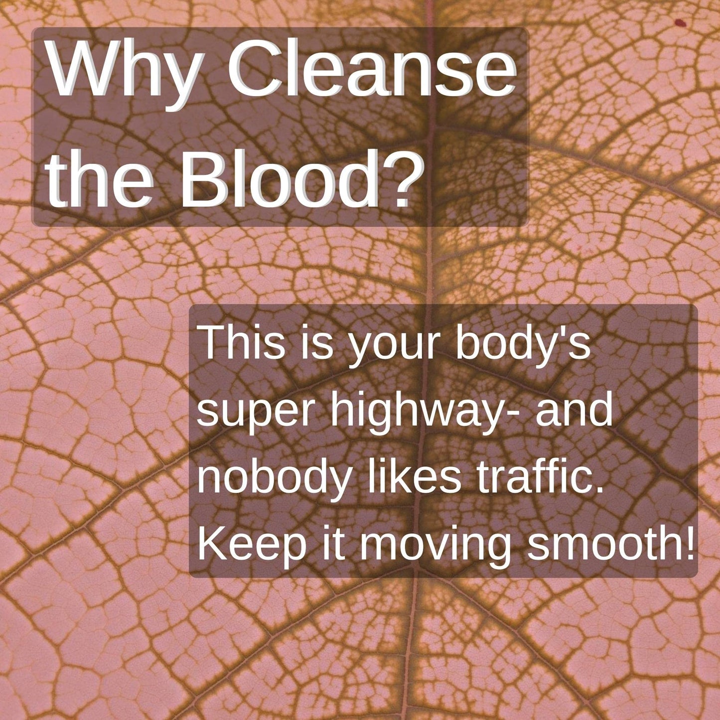 SpeedyVite® Blood Lifeboost Tea – Cleanses & Supports Natural Waste Removal*