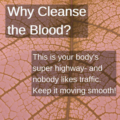 SpeedyVite Blood Cleansing LifeBoost Tea Organic – Herbal Immune Support