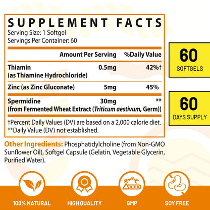 CORPORALIGHT 30mg Spermidine Softgels – High Absorption, Fermented Wheat Germ Extract, 240 Count