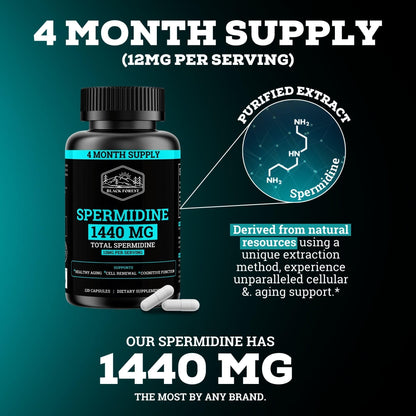 Spermidine Supplement 1440mg – 99% Pure, 4 Months Supply for Cellular Health
