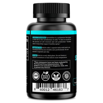 Spermidine Supplement 1440mg – 99% Pure, 4 Months Supply for Cellular Health